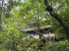 -天一阁博物院