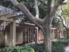 -徐家汇源景区-衡山公园