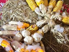 -领尚沃尔玛购物广场(大岭山玉屏路分店)