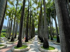 -深圳国际园林花卉博览园