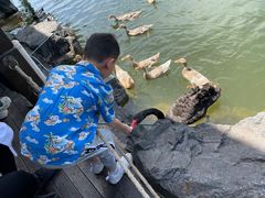 -上海怡沁园度假酒店