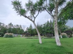-夏河溪乡野公园