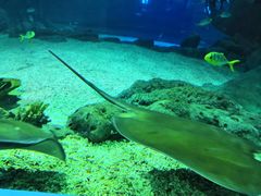 -福州罗源湾海洋世界旅游区