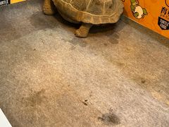 -上海跨国采购会展中心