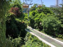 -富斯特索道