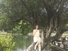 -晓港公园