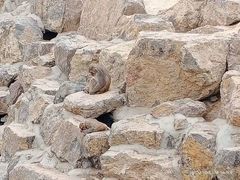 -太原动物园