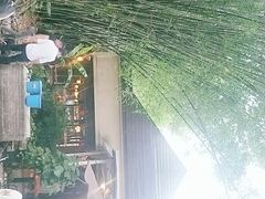 -勐丽梦兰傣味餐厅