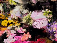 -宝鸡东道花鸟鱼虫市场(吉利花园商场店)