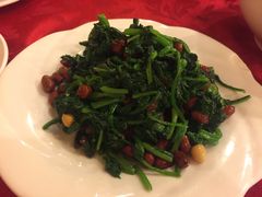 -舒蔡记生煎菜饭(云南中路店)