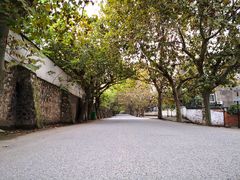 -冶山国家矿山公园