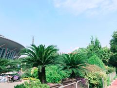 -杭州城北体育公园