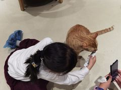 -藏猫猫咖啡主题馆(中央大道店)
