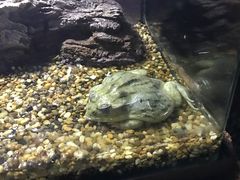 -暹罗海洋世界