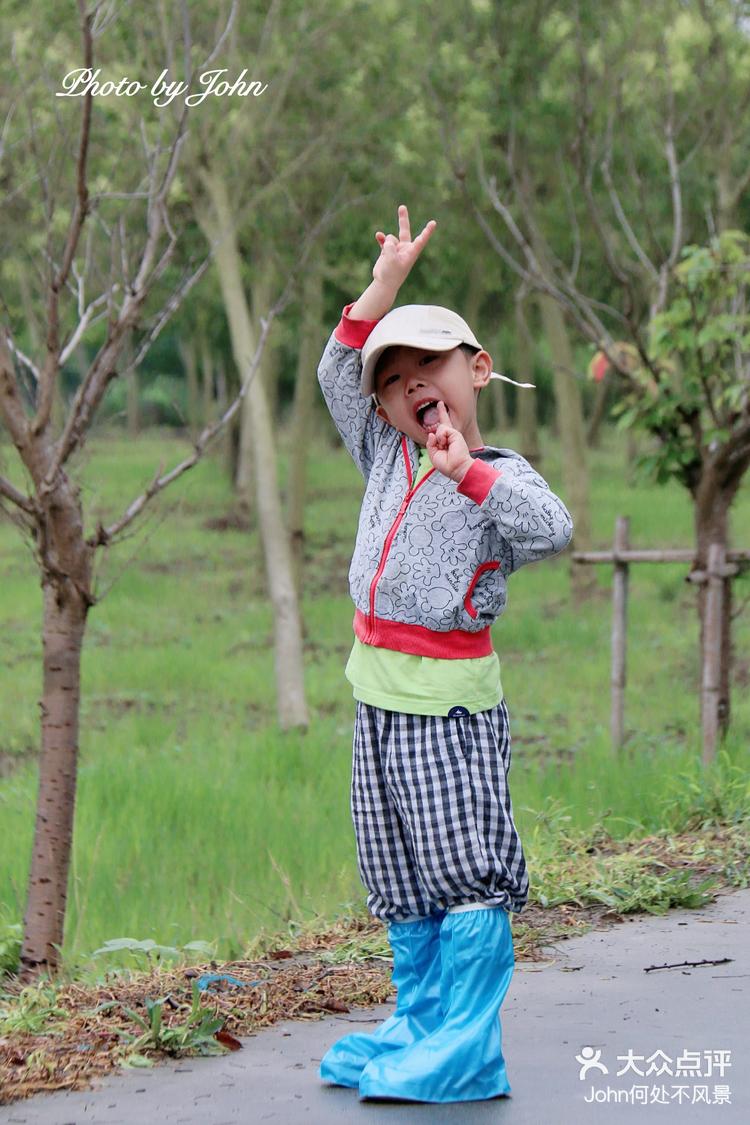 🌺那些花儿🌸