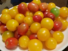 -杨柳青园艺科技博览园