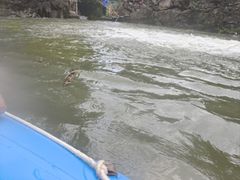 -将军关探险漂流