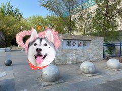 -庄怡公园