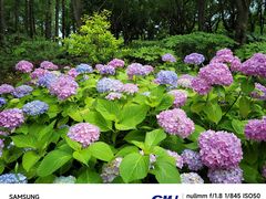 -上海山野camping·户外天幕烧烤·团建拓展营地