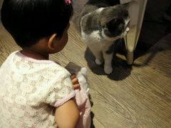 -小时光咖啡馆(开森度假森林店)