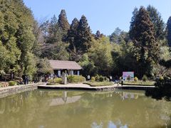 -庐山风景区花径公园