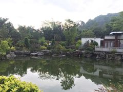环境-谷丰健康凤贤居酒家