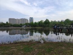 -群力丁香公园