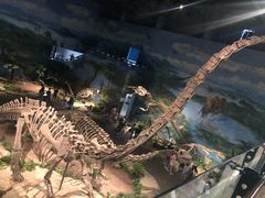 -自贡恐龙博物馆