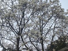 -秦始皇帝陵博物院(兵马俑)