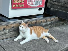 -永和鱼丸(南后街店)