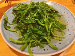清炒丝瓜尖-山茶云南菜(中关村店)