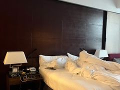 -广州天河希尔顿酒店