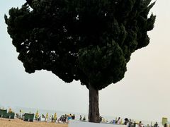 -青岛第一海水浴场