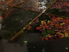 -天目湖御水温泉·度假酒店