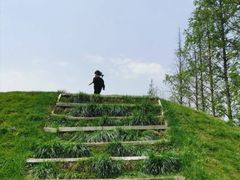 -前小桔亲子创意农场·草莓采摘·露营烧烤