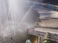 -北京鹿世界主题园