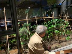 -黄山老妈·土菜(碧桂园店)
