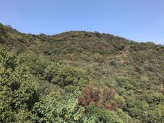 -杭州半山国家森林公园