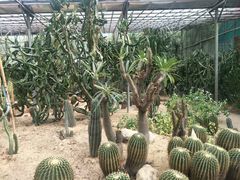 -广东茂名森林公园