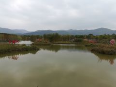 -天适樱花悠乐园