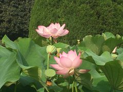 -四川大学(华西校区)