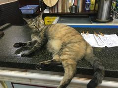 -协和菜馆(凤凰街店)