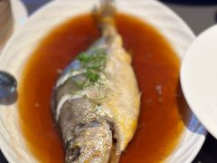 清蒸黄鱼-桂满陇·杭州饭店(清河万象店)