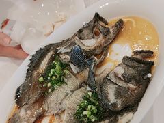 清蒸老虎斑-观海半岛宴·湛江菜(海上世界店)