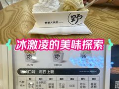 -野人先生Gelato(上海长宁龙之梦店)