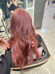 -藤野造型烫发染发