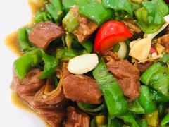 尖椒肥肠-瑜瑜饭馆