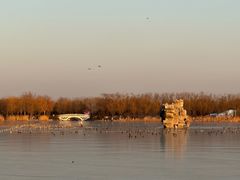 -大兴滨河森林公园