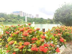 -广西壮族自治区药用植物园