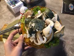 -易门野生菌府·菌海森林(月牙潭公园店)